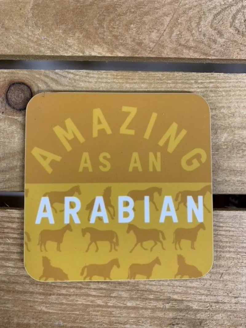 Gubblecote Amazing as an Arabian Coaster-1